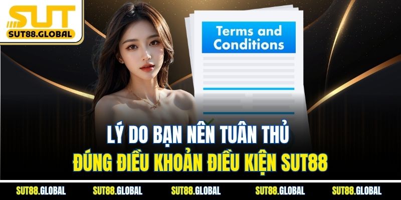 Lý Do Bạn Nên Tuân Thủ Đúng Điều Khoản Điều Kiện SUT88